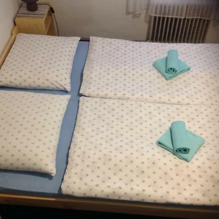 Проживание в семье Privat Monika *